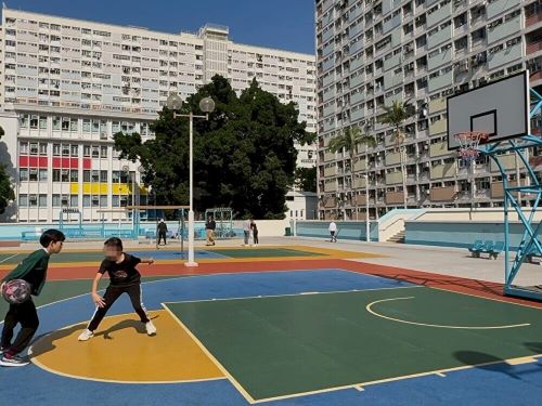 彩虹のバスケットコート